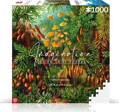 Изображение Good Loot Puzzle 1000 Ernst Haeckel Muscinae