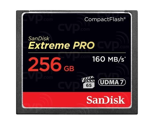 Picture of MEMORY COMPACT FLASH 256GB/SDCFXPS-256G-X46 SANDISK