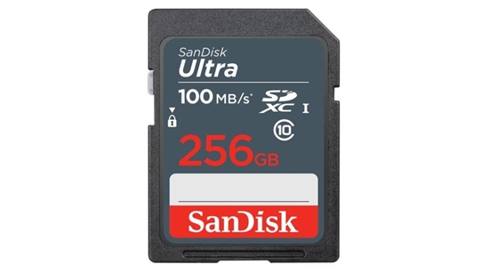 Picture of MEMORY SDXC 256GB UHS-I/SDSDUNR-256G-GN3IN SANDISK