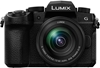 Picture of Panasonic Lumix DC-G90 Kit + H-FS 12-60 OIS