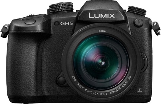 Picture of Panasonic Lumix DC-GH5 + 12-60mm f/2.8-4.0 Kit