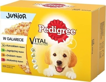 Изображение Pedigree Junior mix smaków w galaretce 12x100g