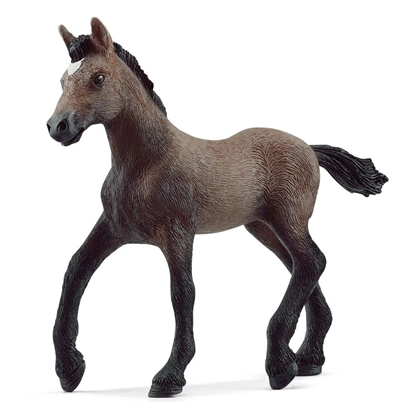 Picture of Schleich Horse Club Peruvian Paso Foal 13954