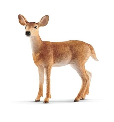 Attēls no Schleich Wild Life         14819 White-Tailed Doe