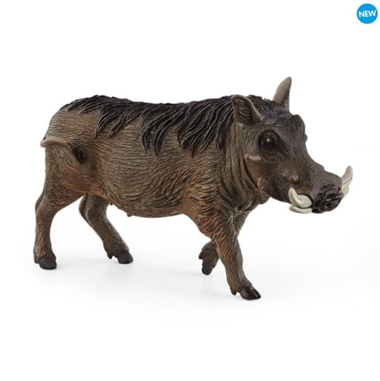 Picture of Schleich Wild Life         14843 Warthog