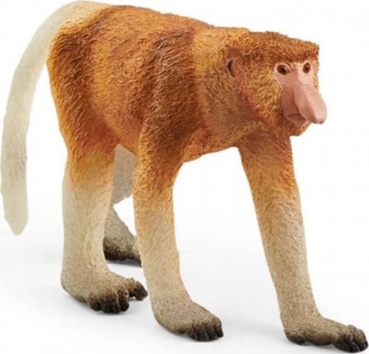 Attēls no Schleich Wild Life         14846 Proboscis monkey