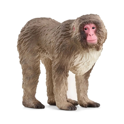 Attēls no Schleich Wild Life         14871 Japanese Macaque