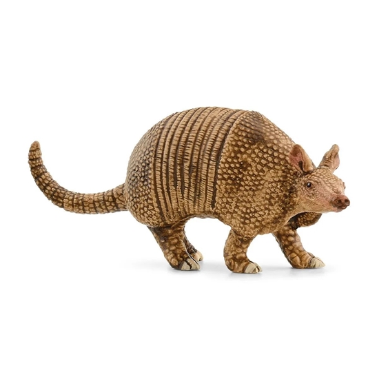 Picture of Schleich Wild Life         14874 Armadillo