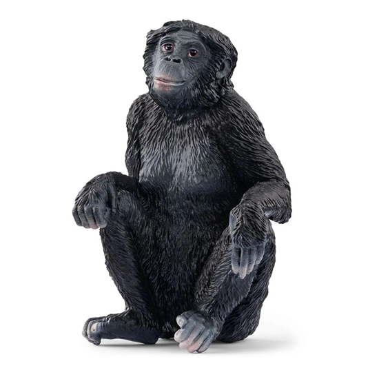 Picture of Schleich Wild Life         14875 Bonobo Female