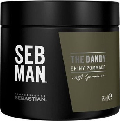 Изображение Sebastian Professional Plaukų pomada vyrams Sebastian Professional SEB MAN The Dandy Shiny 75 ml