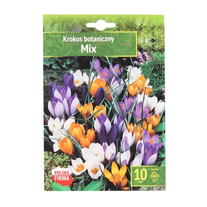 Attēls no Sīpolpuķes Krokusi Botaniczny Mix 5/7 10gab.