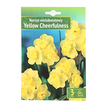 Attēls no Sīpolpuķes Narcises Yellow Cheerfulness 3gab