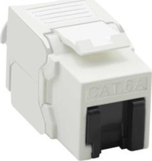 Picture of TRITON VALUE Cat.6A (Class EA) Keystone, RJ-45, nieekranowany, srebrny, beznarzędziowy, biały