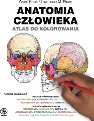 Изображение Anatomia człowieka. Atlas do kolorowania