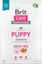 Изображение Brit Sucha karma dla psa Care Dog Grain-Free Puppy Salmon 3 kg