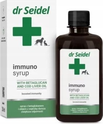 Изображение Derma-Pharm DR SEIDEL IMMUNO SYRUP 250ml NA           ODPORNOŚĆ