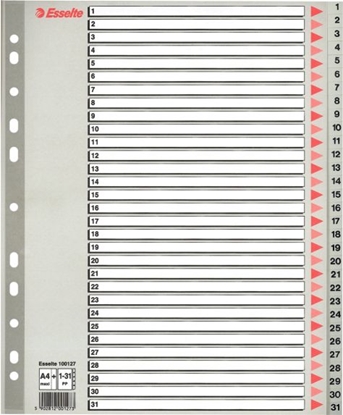 Attēls no Esselte Przekładki do segregatora A4 Maxi PP szare (10K397B)