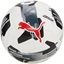 Изображение Futbola bumba Puma Orbita 2 TB FIFA Quality Pro 84323 02