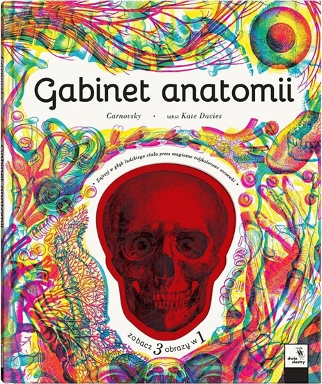 Picture of Gabinet anatomii