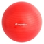 Picture of Gimnastikos kamuolys + pompa inSPORTline Top Ball 55 cm