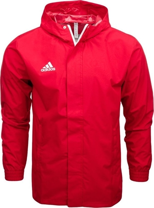 Attēls no Kurtka męska Adidas Kurtka adidas ENTRADA 22 AW Jacket IK4013