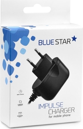 Attēls no Ładowarka Blue Star TFK-TC-1100B 1 A (5901737182753)