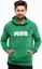 Изображение Puma Bluza męska Puma ESS  2 Col Big Logo Hoodie TR zielona 586765 86 L