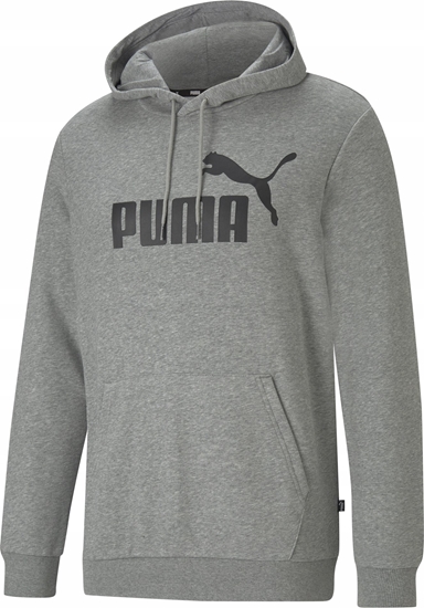 Picture of Puma Bluza Puma Essential Big Logo Hoodie TR 586688-03