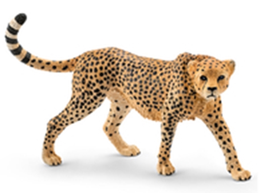 Изображение Schleich Wild Life Cheetah (14746)