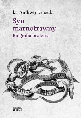 Picture of Syn marnotrawny. Biografia ocalenia