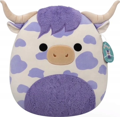 Attēls no Squishmallows SQUISHMALLOWS W18 Pliušinis žaislas Conway, 40 cm