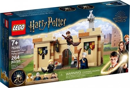 Picture of LEGO 76395 Harry Potter Hogwarts First Flying Lesson Constructor