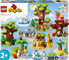 Picture of LEGO Duplo 10975 Wild Animals of the World