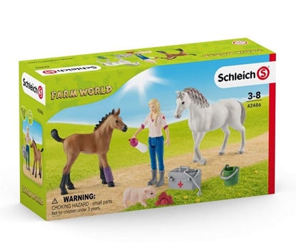 Attēls no Schleich Farm World       42486 Vet visiting Mare and Foal