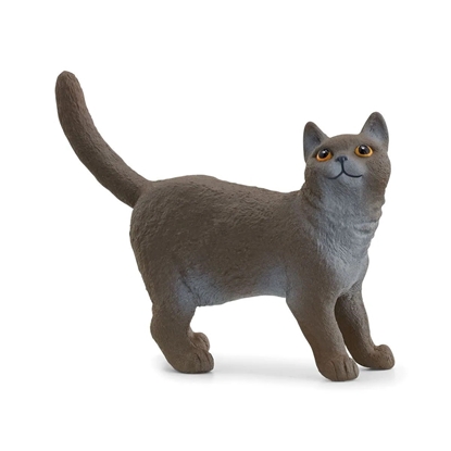 Attēls no Schleich Farm World British Shorthair Cat      13973