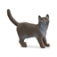 Attēls no Schleich Farm World British Shorthair Cat      13973