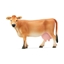 Attēls no Schleich Farm World Jersey Cow                 13967