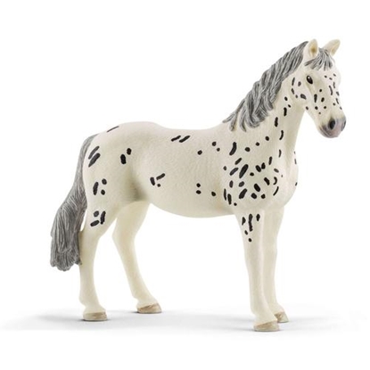 Attēls no Schleich Horse Club        13910 Knabstrupper Mare