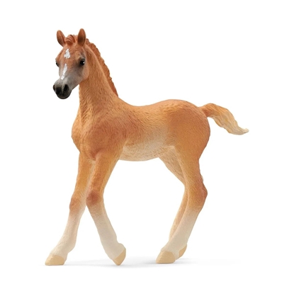 Attēls no Schleich Horse Club        13984 Arabian Foal