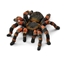 Picture of Schleich Wild Life         14829 Tarantula