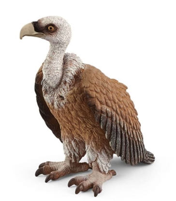 Picture of Schleich Wild Life         14847 Vulture