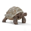 Picture of Schleich Wild Life       14824 Giant tortoise