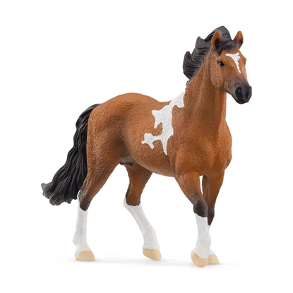 Attēls no Schleich Horse Club        13978 Mangalarga Marchador Stallion