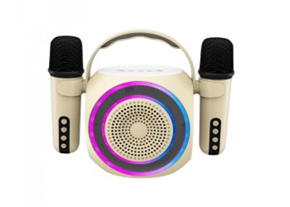 Picture of CELLY PARTYMIC2 - WIRELESS SPEAKER WITH 2 MICROPHONES